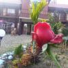 WhatsApp Image 2021-02-01 at 1.37.58 PM